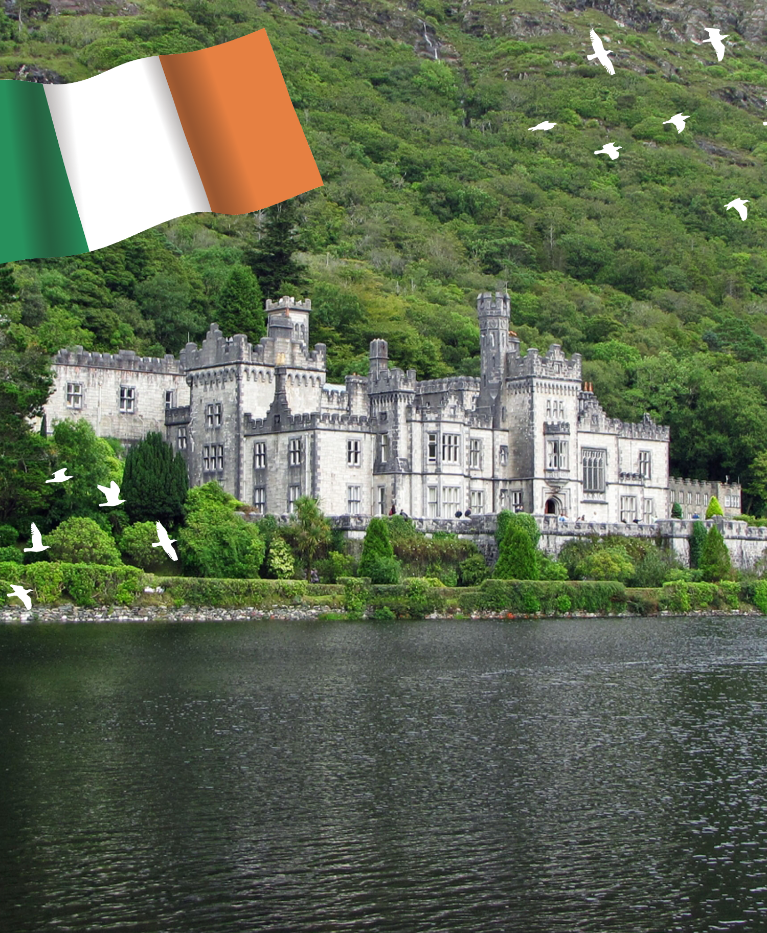 Republic of Ireland flag with castle, trees and birds near water