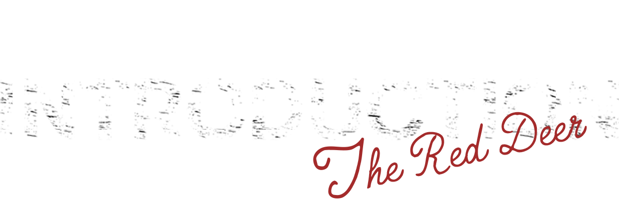 INTRODUCTION